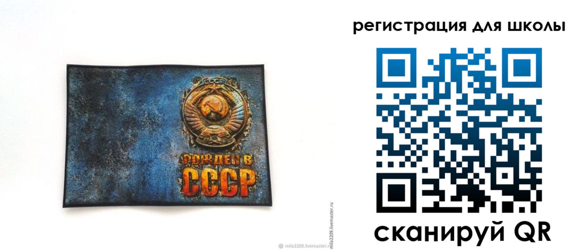 регистрация в Новозыбкове